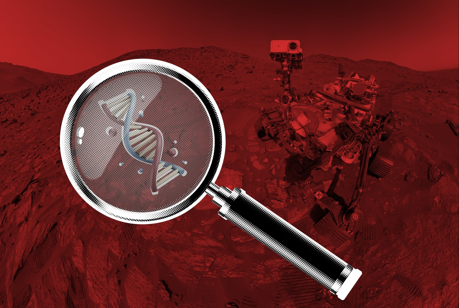 Perhaps Life on Mars?